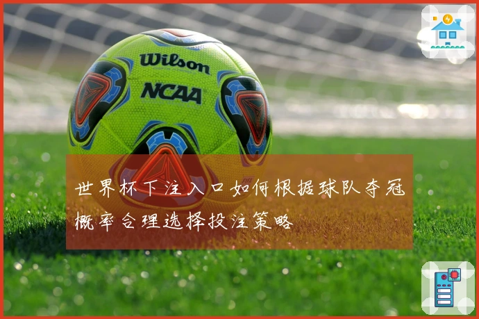 世界杯下注入口如何根据球队夺冠概率合理选择投注策略