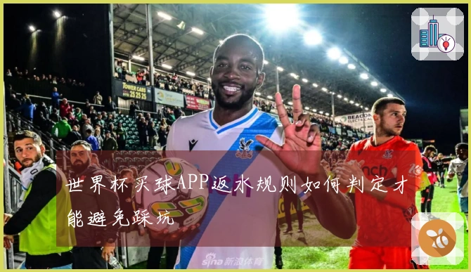 世界杯买球APP返水规则如何判定才能避免踩坑