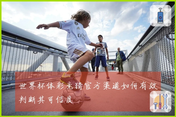 世界杯体彩竞猜官方渠道如何有效判断其可信度