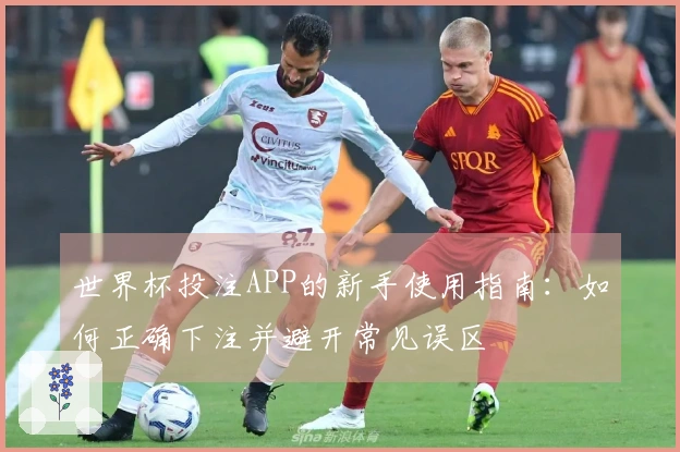 世界杯投注APP的新手使用指南：如何正确下注并避开常见误区