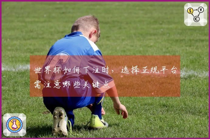 世界杯如何下注时，选择正规平台需注意哪些关键点
