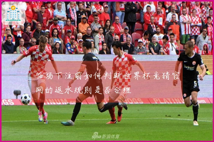 临场下注前如何判断世界杯竞猜官网的返水规则是否合理