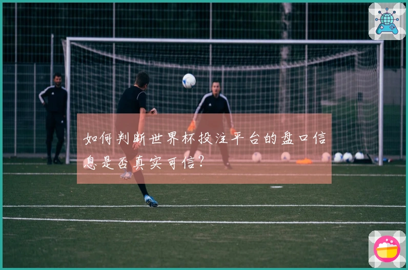如何判断世界杯投注平台的盘口信息是否真实可信？