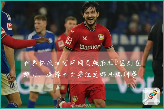 世界杯投注官网网页版和APP区别在哪儿，选择平台要注意哪些规则事项