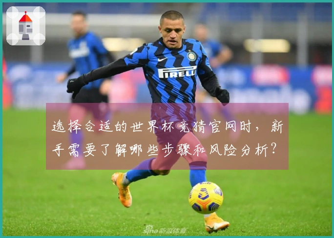 选择合适的世界杯竞猜官网时，新手需要了解哪些步骤和风险分析？