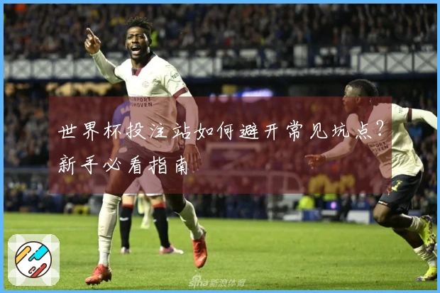 世界杯投注站如何避开常见坑点？新手必看指南