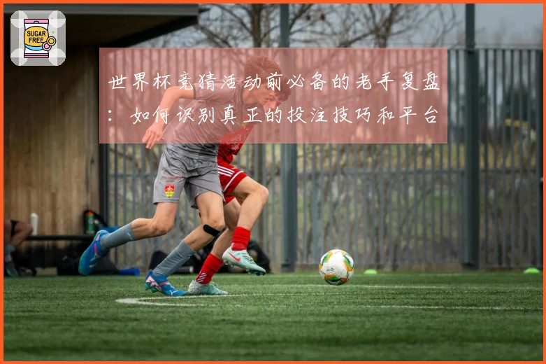 世界杯竞猜活动前必备的老手复盘：如何识别真正的投注技巧和平台规则