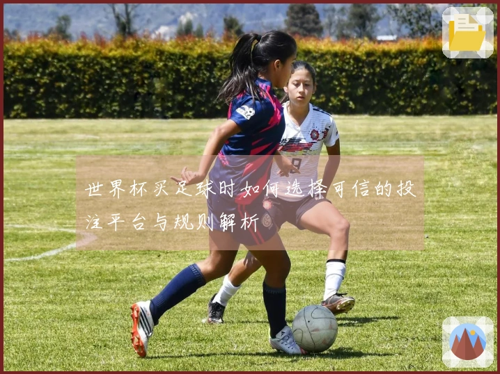 世界杯买足球时如何选择可信的投注平台与规则解析