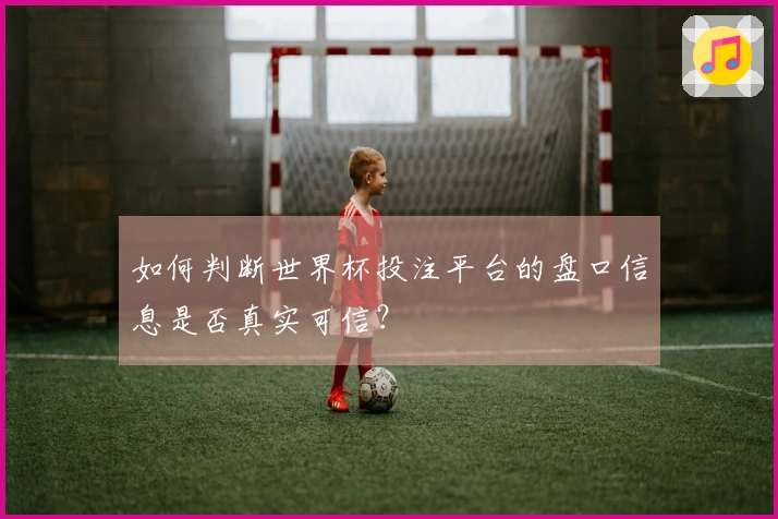 如何判断世界杯投注平台的盘口信息是否真实可信？