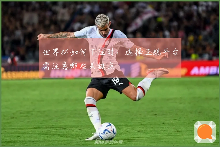 世界杯如何下注时，选择正规平台需注意哪些关键点