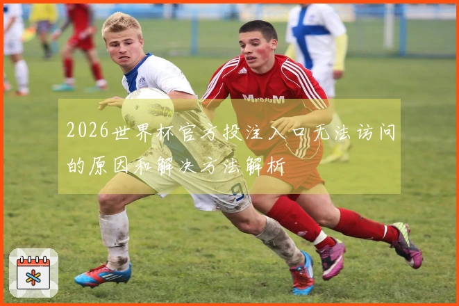 2026世界杯官方投注入口无法访问的原因和解决方法解析