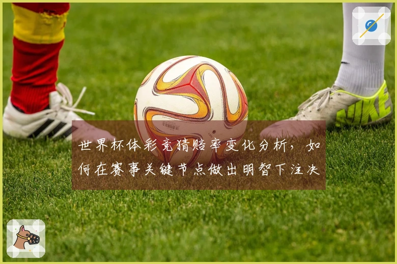 世界杯体彩竞猜赔率变化分析，如何在赛事关键节点做出明智下注决策